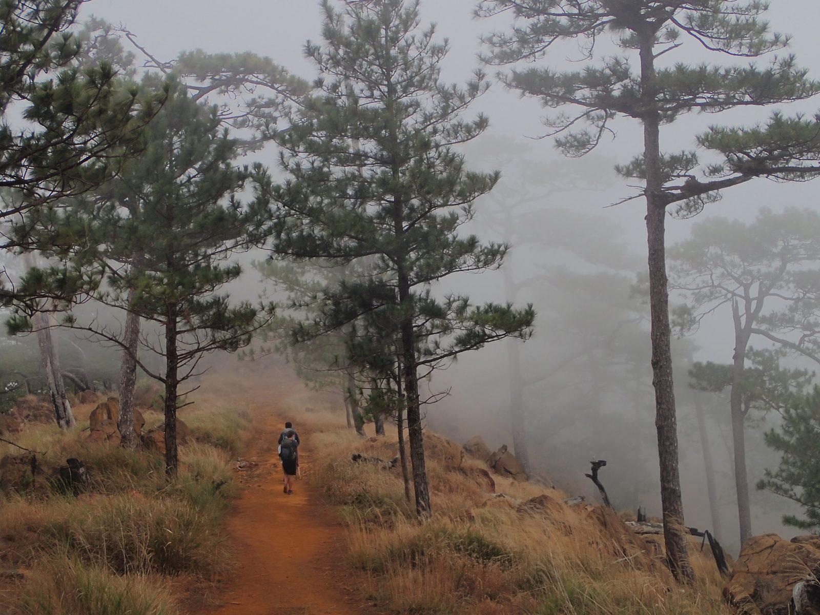 Silver Pines im Test - eine Twin-Peaks-Metroidvania, die meist funktioniert